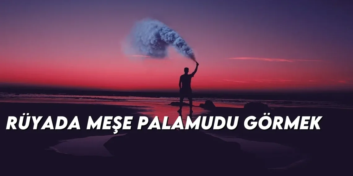 ruyada-mese-palamudu-gormek-gorseli