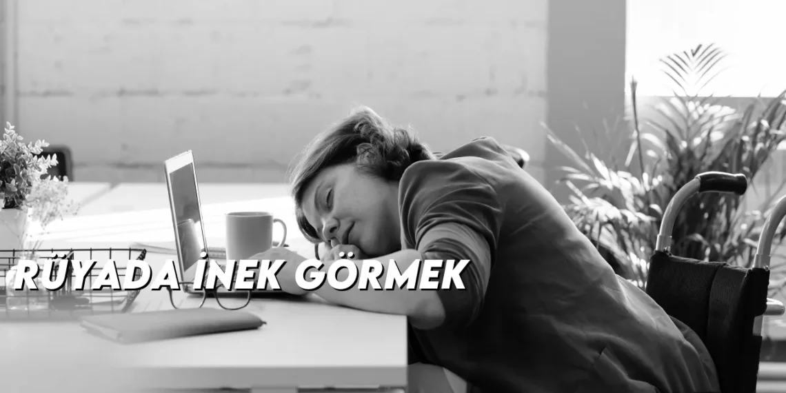 ruyada-inek-gormek-gorseli
