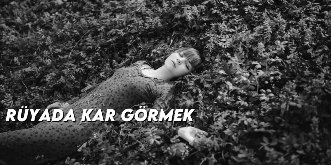 ruyada-kar-gormek-gorseli