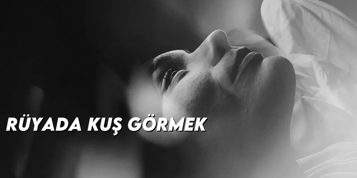 ruyada-kus-gormek-gorseli