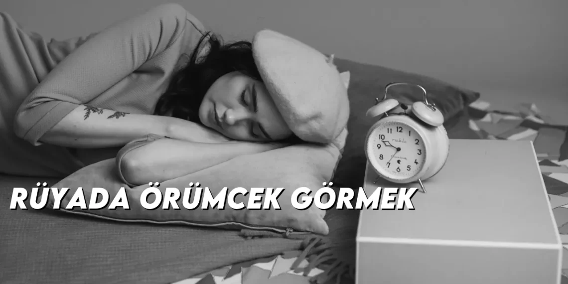 ruyada-orumcek-gormek-gorseli