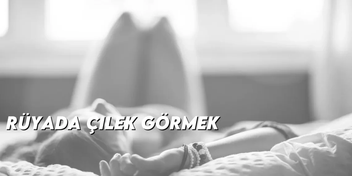 ruyada-cilek-gormek-gorseli