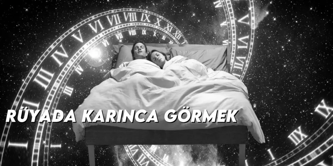 ruyada-karinca-gormek-gorseli