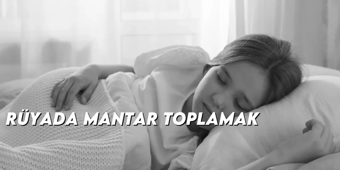 ruyada-mantar-toplamak-gorseli