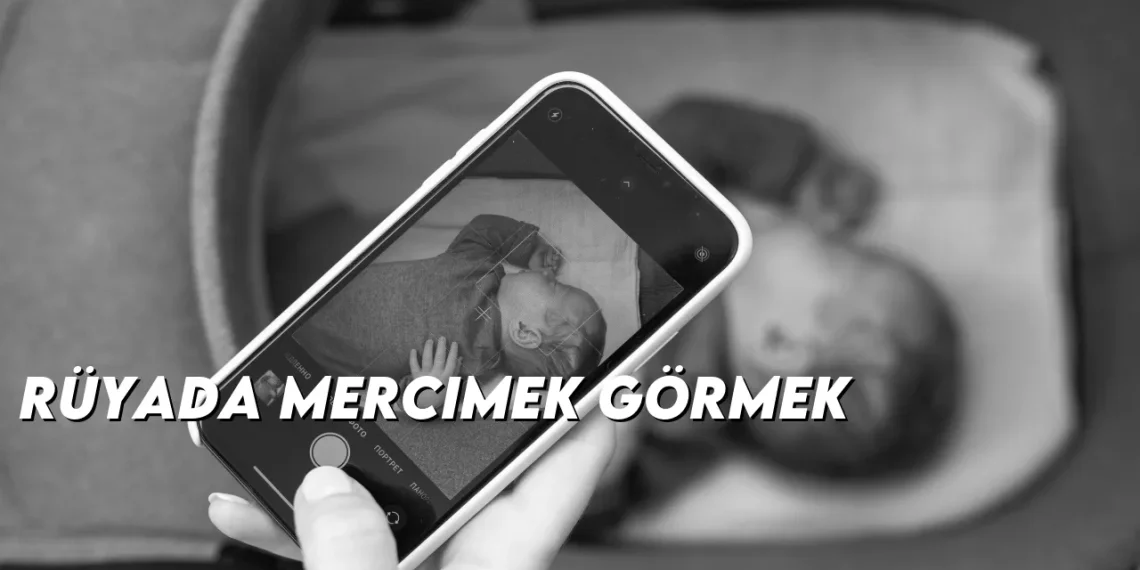 ruyada-mercimek-gormek-gorseli