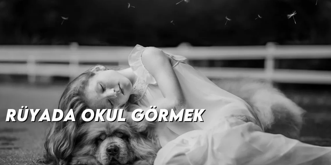 ruyada-okul-gormek-gorseli