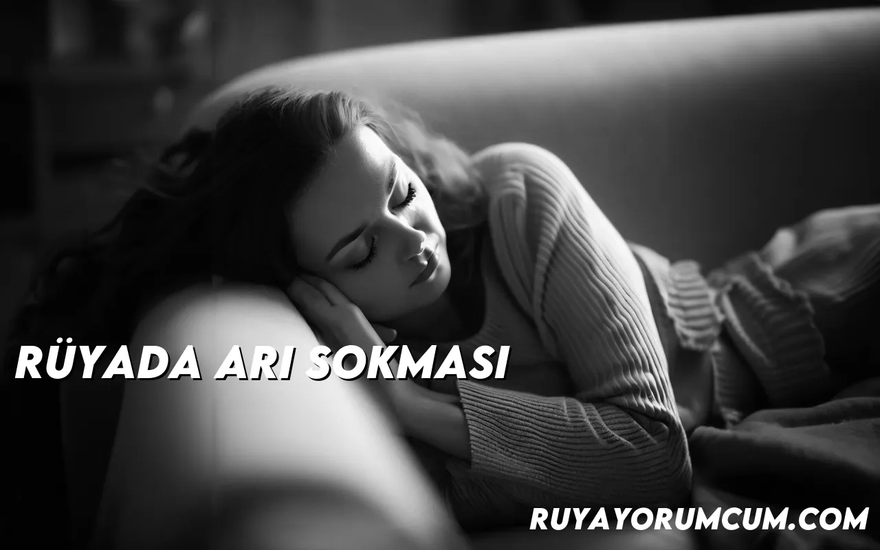 ruyada-ari-sokmasi-gorseli