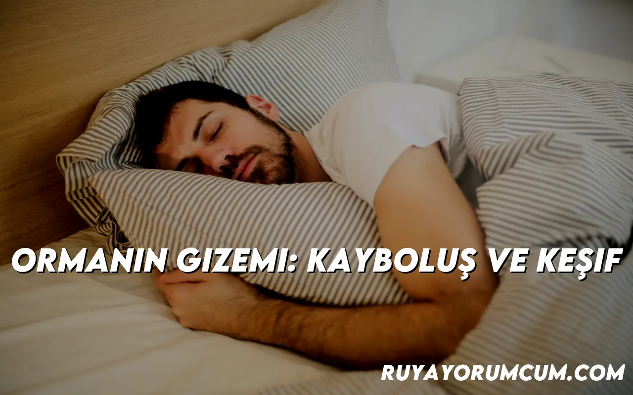 ormanin-gizemi-kaybolus-ve-kes