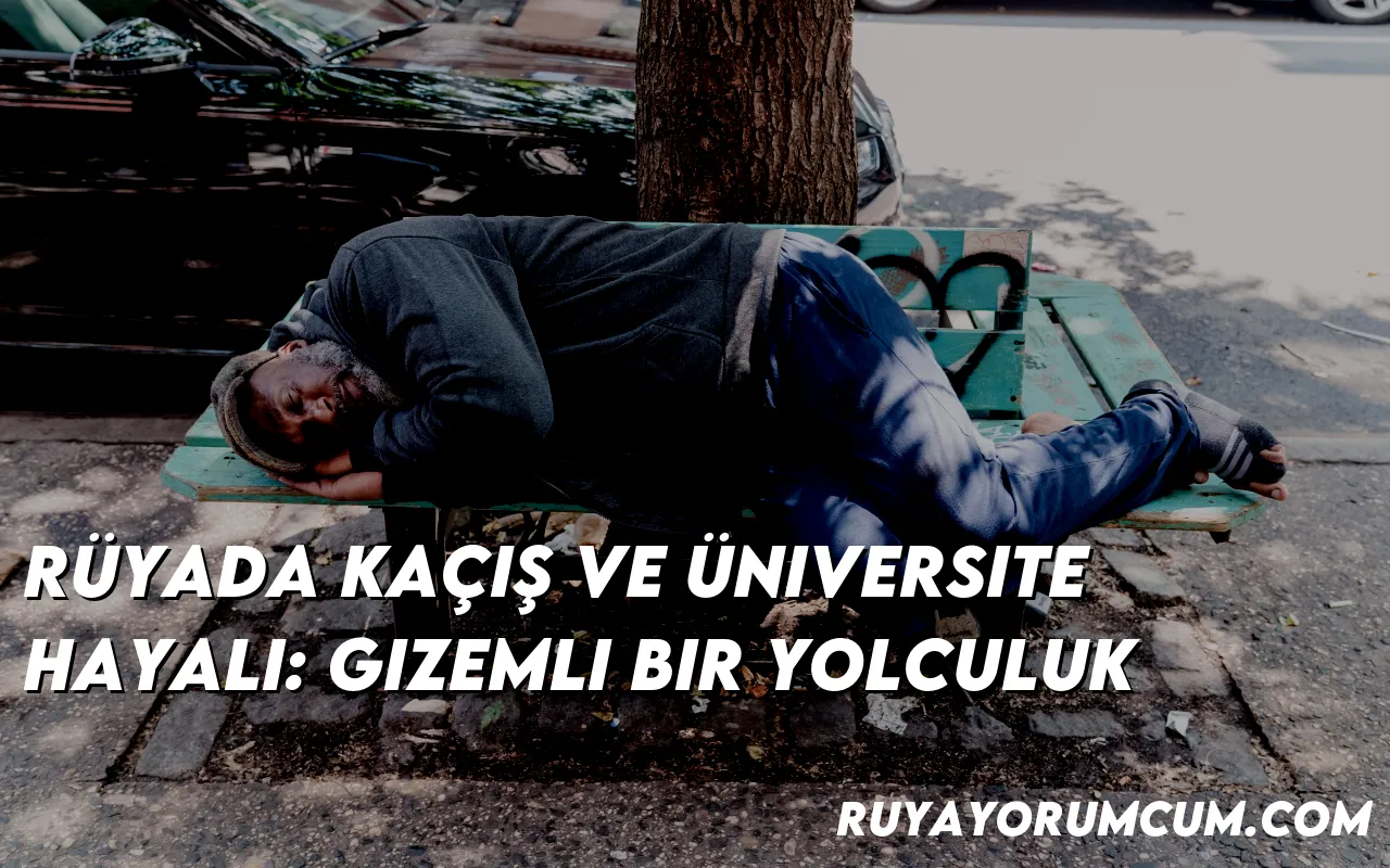 ruyada-kacis-ve-universite-hay