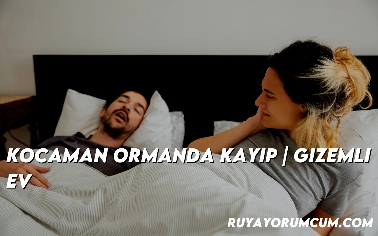 kocaman-ormanda-kayip-gizemli-