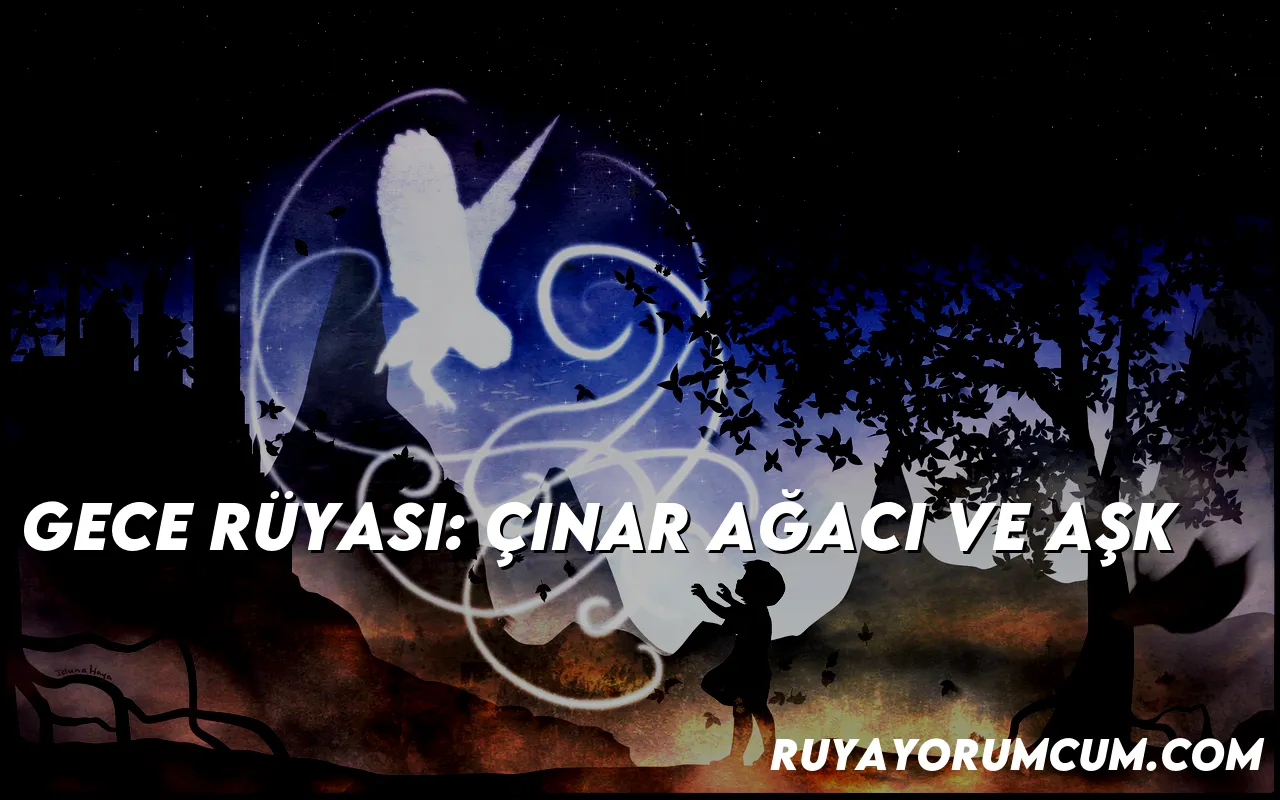 gece-ruyasi-cinar-agaci-ve-ask