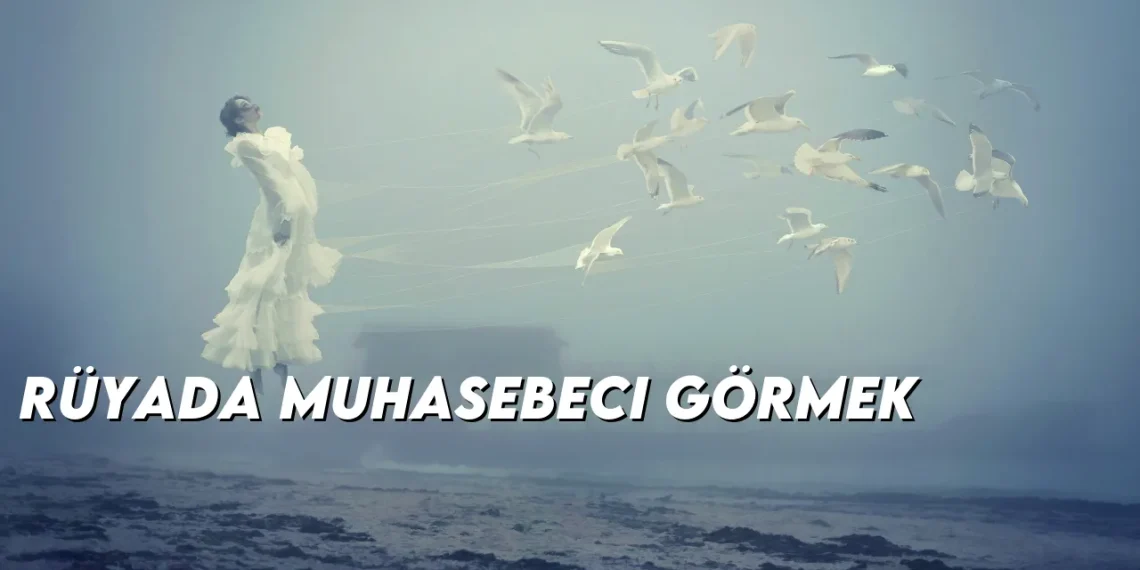 ruyada-muhasebeci-gormek-img